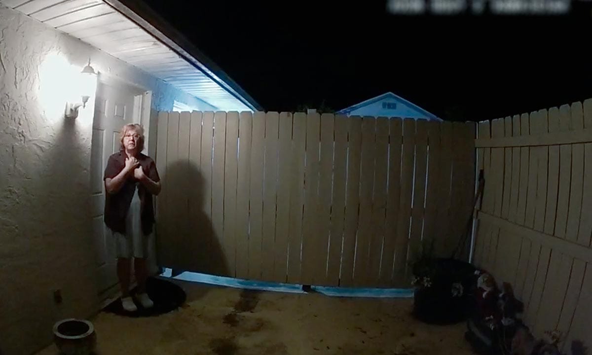 The Perfect Neighbor