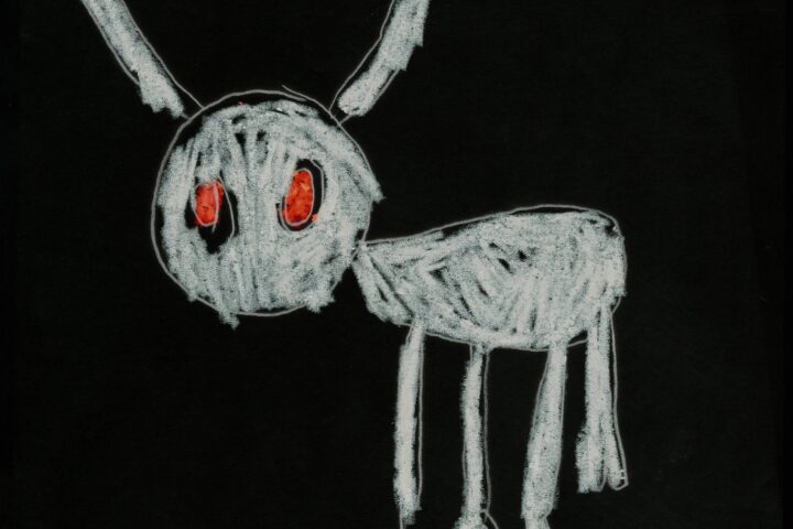 Drake, For All the Dogs