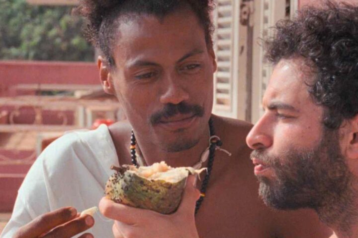 I Only Rest in the Storm