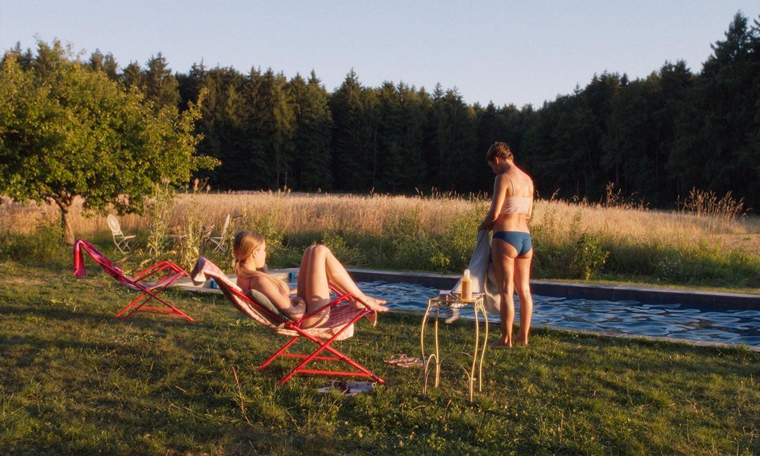 The Sparrow and the Chimney