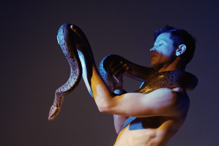 Perfume Genius, Ugly Season