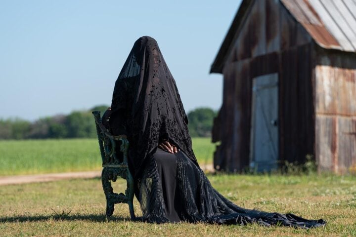 The Woman in the Yard